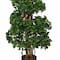 5.5ft. Potted English Ivy Spiral Topiary Tree